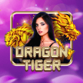 Dragon Tiger QXBET live casino
